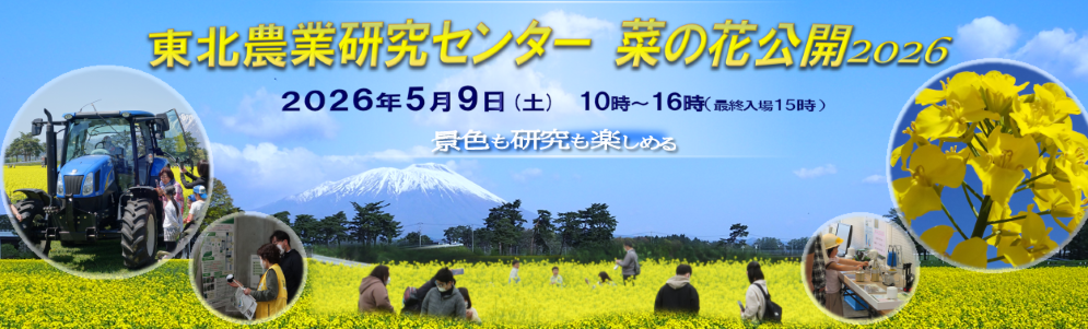東北農業研究センター菜の花公開 2026(2026年5月開催) | 農研機構